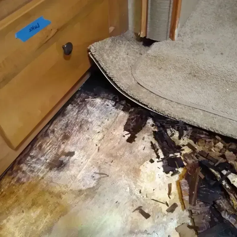 Wood Floor Water Damage in Woods Creek, WA